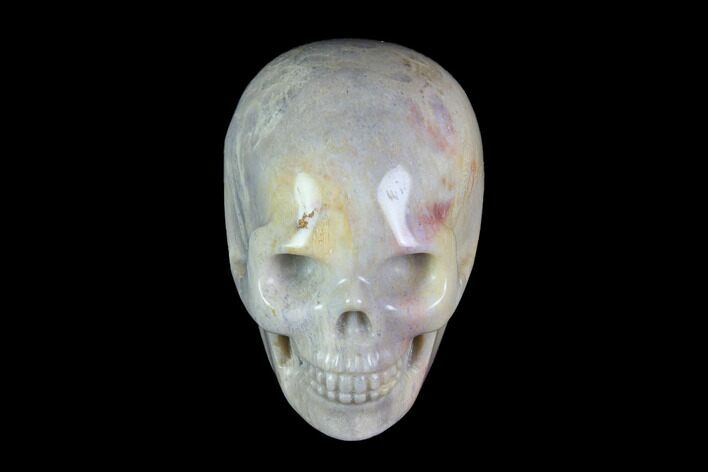 Realistic, Polished Fossil Coral Skull #116575
